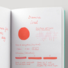 Diamine Coral Ink Bottle 80 ml