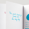 Diamine Aqua Lagoon Inchiostro 30 ml