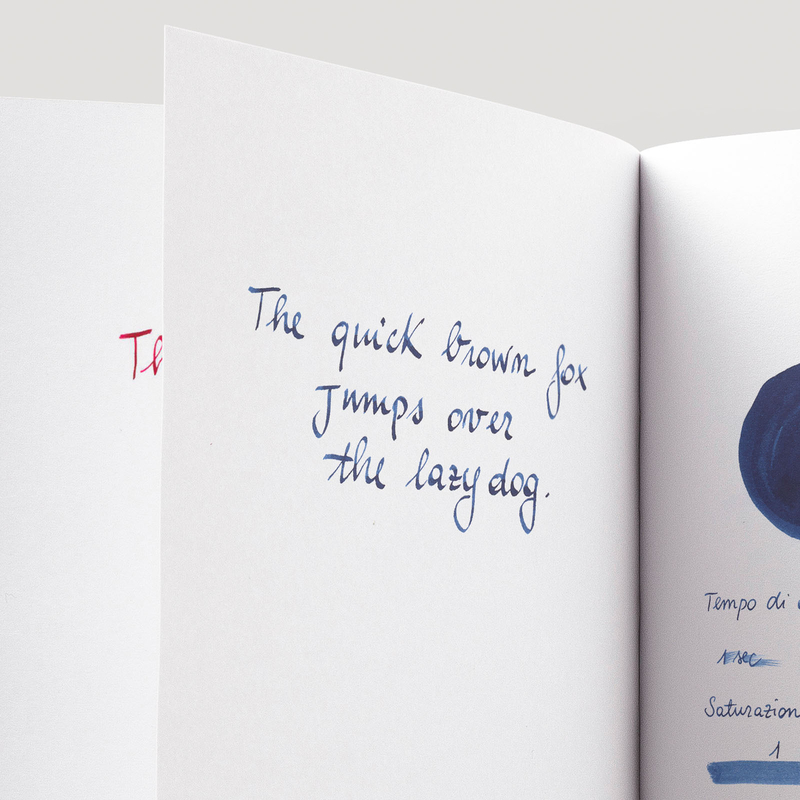 Diamine Blue Black Inchiostro 30 ml