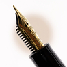 Sailor Professional Gear Slim Shikiori Fountain Pen Princess Kaguya