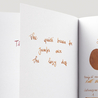 Diamine Guitar Desert Burst Inchiostro 30 ml