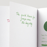 Diamine Emerald Inchiostro 30 ml