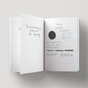 Diamine Graphite Inchiostro 30 ml