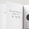 Diamine Graphite Inchiostro 30 ml