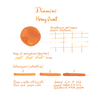 Diamine Guitar Honey Burst Ink Bottle 30 ml