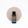 Diamine Misty Blue Inchiostro 30 ml