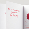 Diamine Monaco Red Inchiostro 30 ml