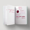 Colorverse Project Ink No. 004 Dirty Red Ink Bottle 65 ml