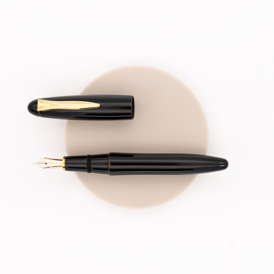 Platinum Izumo Urushi Tamenuri Fountain Pen Biwatame