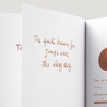 Diamine Raw Sienna Inchiostro 30 ml