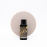 Diamine Salamander Inchiostro 30 ml