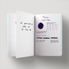 Diamine Scribble Purple Ink Bottle 30 ml