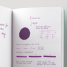 Diamine Grape inchiostro 80 ml