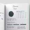 Diamine Teal Inchiostro 30 ml