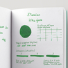 Diamine Ultra Green Ink Bottle 30 ml