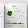 Sailor Ink Studio 867 Inchiostro 20 ml
