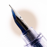 Pilot Penmanship Fountain Pen Clear