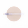 Pilot Penmanship Fountain Pen Clear