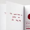 Diamine Inkvent All the Best Inchiostro 50 ml Red Edition Shimmer & Sheen
