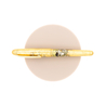 Platinum 3776 Century Kanazawa-Haku Fountain Pen Fujin Raijin