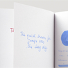 Diamine China Blue Ink Bottle 80 ml
