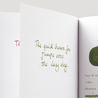 Diamine Classic Green Inchiostro 80 ml