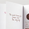 Diamine Chocolate Brown Ink Bottle 80 ml