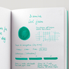 Diamine Cool Green Inchiostro 80 ml