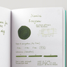 Diamine Evergreen Inchiostro 80 ml