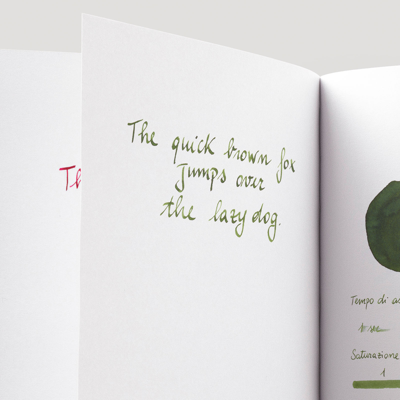 Diamine Evergreen Inchiostro 80 ml