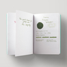 Diamine Evergreen Ink Bottle 80 ml