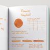 Diamine Guitar Honey Burst Inchiostro 80 ml