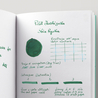 Pilot Iroshizuku Shin-Ryoku 6 Cartucce