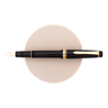 Pilot Justus 95 Penna Stilografica Stripe Black