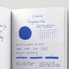 Diamine Sargasso Sea Ink Bottle 80 ml