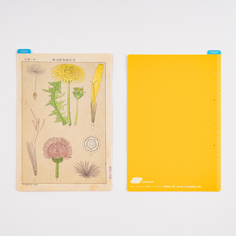 Hobonichi Pencil Board Tomitaro Makino Sottopagina per Original A6