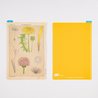 Hobonichi Pencil Board Tomitaro Makino Sottopagina per Original A6