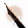 TWSBI Twsbi Eco Penna Stilografica Indigo Blue & Bronze