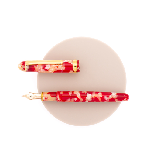Platinum 3776 Century Celluloid Penna Stilografica Koi
