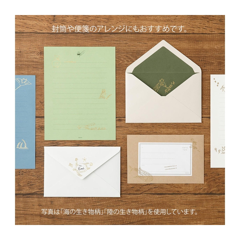 Midori Midori Foil Transfer Sticker Outdoor