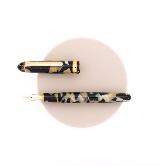 Platinum 3776 Century Celluloid Penna Stilografica Calico