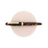 Platinum Platinum 3776 Century Celluloid Fountain Pen Tortoise