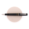 Delta Delta Spaccanapoli Fountain Pen Palazzo D'Angiò