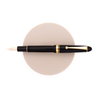 Pilot Pilot Custom 742 Fountain Pen Black