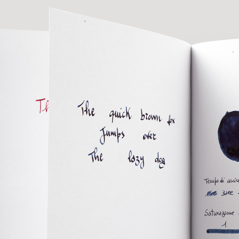 Diamine Diamine Inkvent Nightfall Inchiostro 50 ml Purple Edition Chameleon