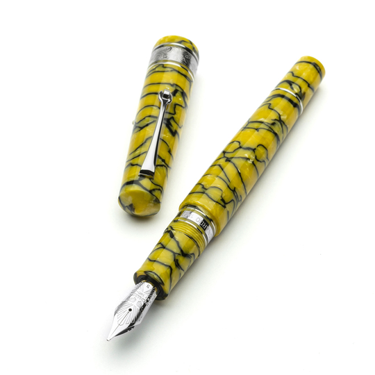 Leonardo Cinquantesimo Fountain Pen Rediscover & Rhodium Limited Edition
