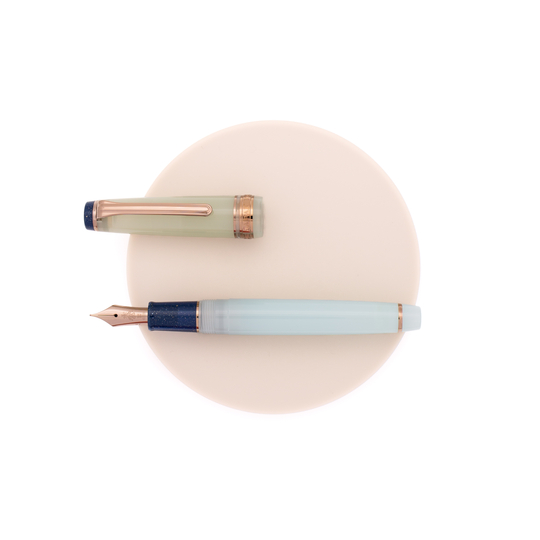 Sailor Professional Gear Slim Dried Flower Penna Stilografica Hydrangea