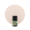 Ferris Wheel Press Ferris Wheel Press Lores of the Loch Inchiostro 10 ml