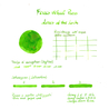 Ferris Wheel Press Ferris Wheel Press Lores of the Loch Ink Bottle 20 ml