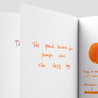 Diamine Diamine Autumn Oak Inchiostro 30 ml